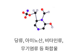 당류, 아미노산, 비타민류, 무기염류 등 화합물