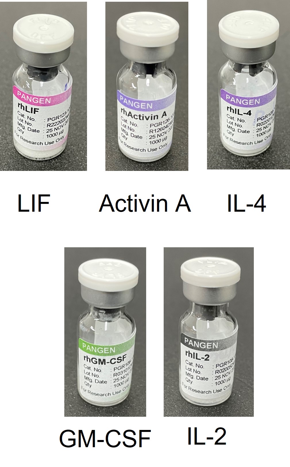 동물세포 발현시스템과 바이오 의약품 제조기술을 바탕으로 제조한 5종의 cytokine 동결건조 제품